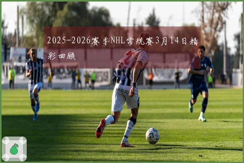 2025-2026赛季NHL常规赛3月14日精彩回顾